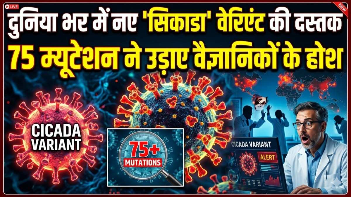 Corona Cicada Variant: दुनिया भर में नए सिकाडा वेरिएंट की दस्तक, 75 म्यूटेशन ने उड़ाए वैज्ञानिकों के होश; क्या वैक्सीन भी होगी फेल? जानें लक्षण और बचाव।