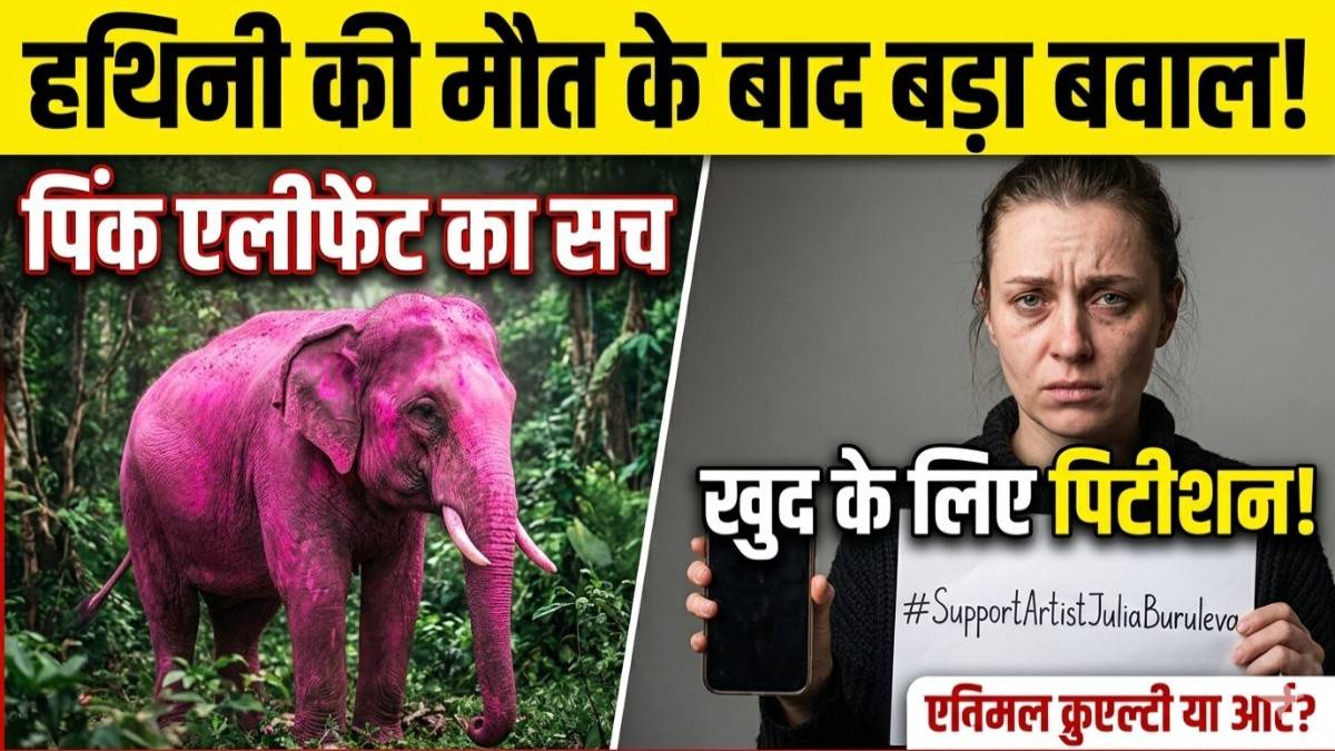 पिंक एलीफेंट फोटोशूट विवाद रूसी फोटोग्राफर ने खुद के लिए मांगा समर्थन, सोशल मीडिया पर भड़के लोग