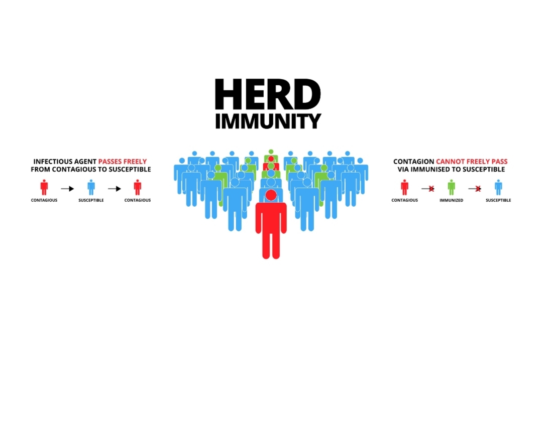 World Immunization Week 2026 क्या है इस साल की खास थीम ? जानें कैसे Digital AI और New Vaccines बदल रहे हैं आपकी सेहत का भविष्य